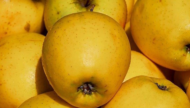 Яблоки - витамины и микроэлементы, польза и вред