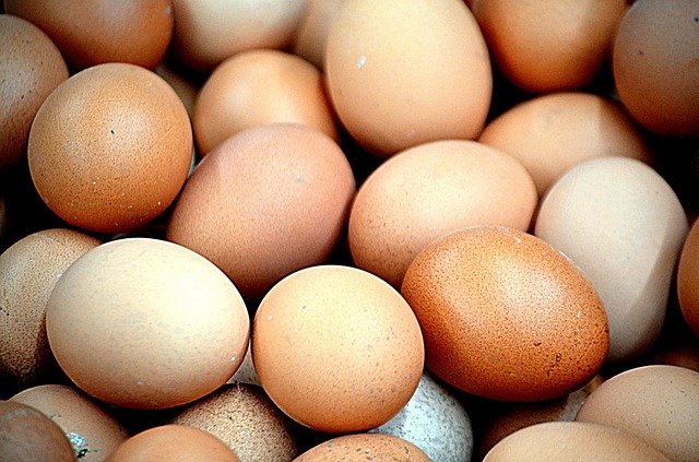 Куриные яйца: польза и вред